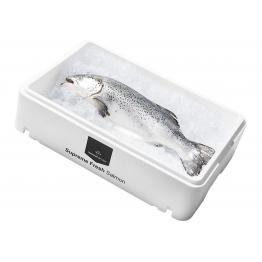 Łosoś cały HOG (Norwegian Superior), 4/5
